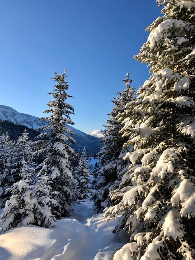 Апартаменти T2- 4Pers- Chamrousse Bachat Bouloud Екстер'єр фото